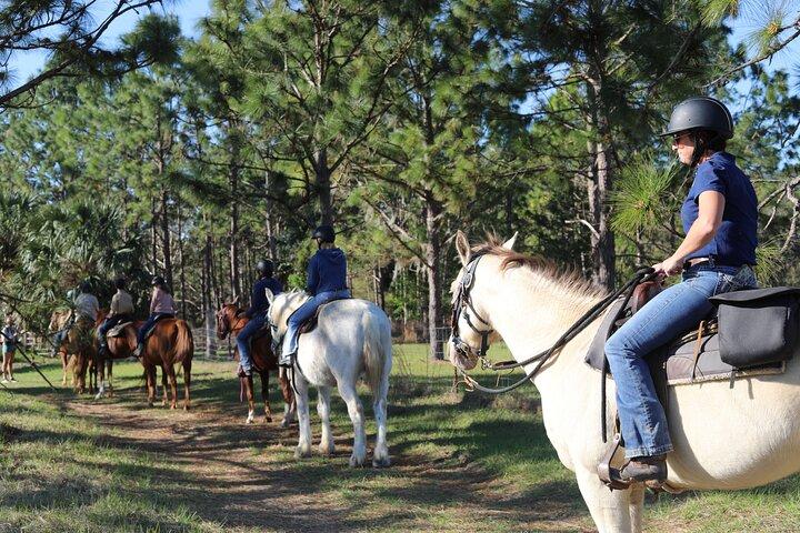 Guided Two Hour Horseback Trail Ride in Central Florida