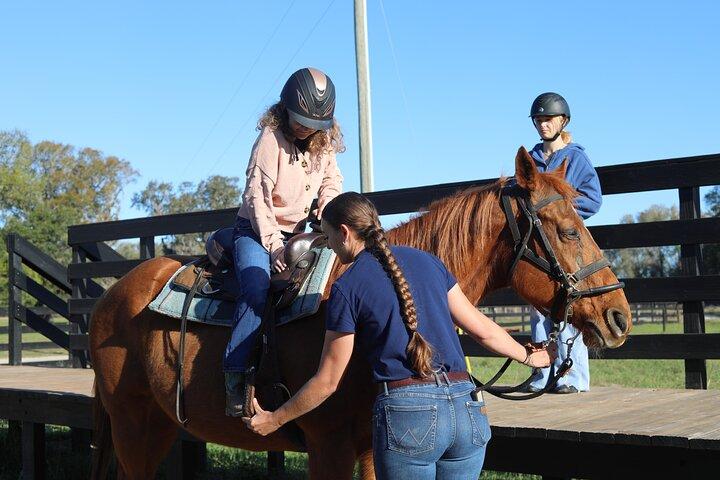 Guided Two Hour Horseback Trail Ride in Central Florida