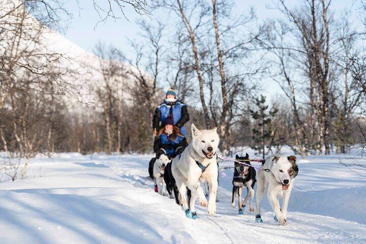Fun & Easy Hundspannsäventyr från Tromsö