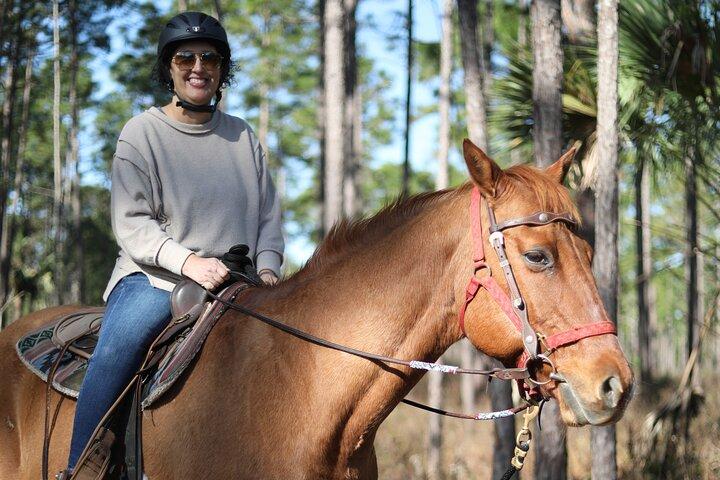 Guided Two Hour Horseback Trail Ride in Central Florida