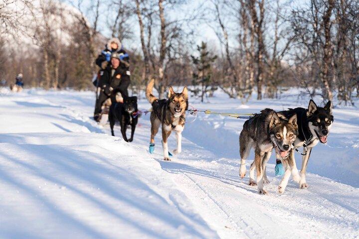 Fun & Easy Hundspannsäventyr från Tromsö