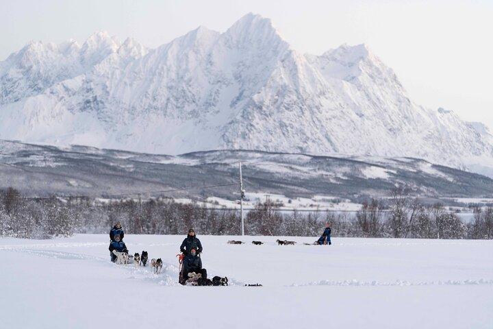 Fun & Easy Hundspannsäventyr från Tromsö