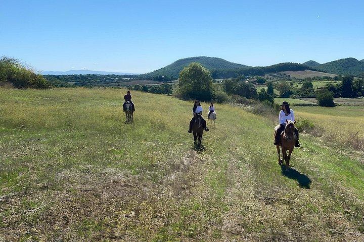 ブラッチャーノ近郊のトルファ山脈で乗馬