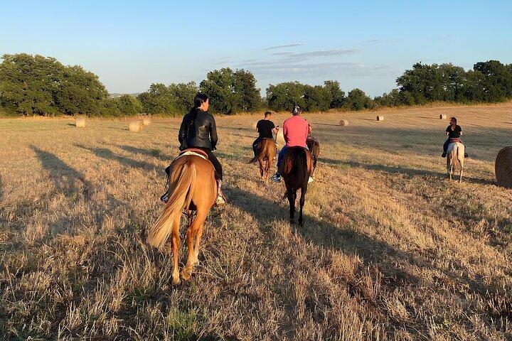 Horseback Ride in the Tolfa Mountains near Bracciano