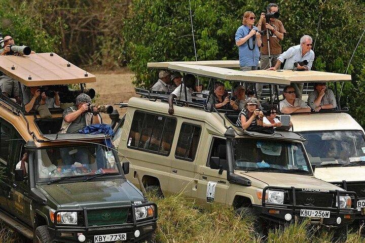 Multi Day Breathtaking Kenya Wildlife Private Safari