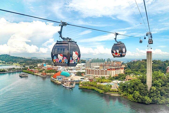 SkyPass voor kabelbaan van Singapore