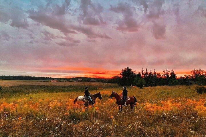 Sunset Trail Ride e Campfire Experience em Rock Springs