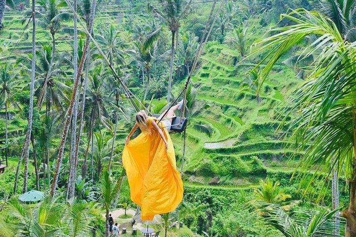 Descubra o melhor de Ubud: Excursão totalmente inclusiva e guiada privada
