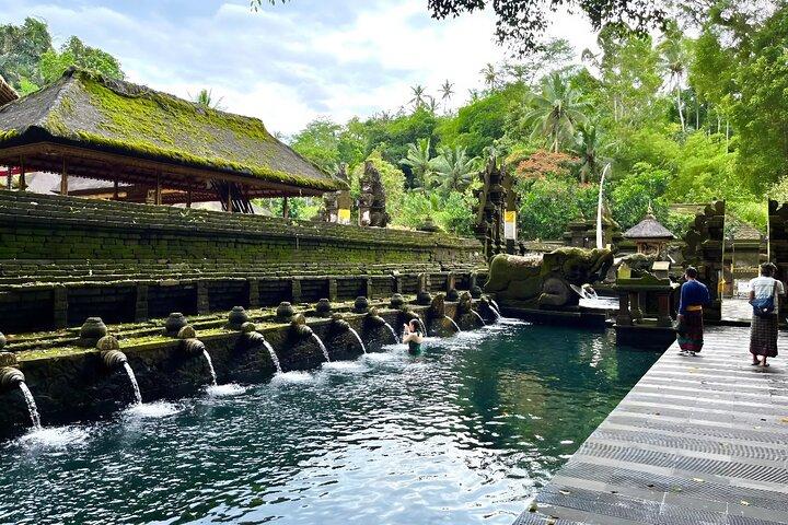 Descubra o melhor de Ubud: Excursão totalmente inclusiva e guiada privada