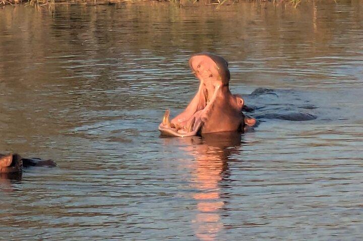 イシマンガリソ湿地公園(セントルシア)とドゥマズールー文化村