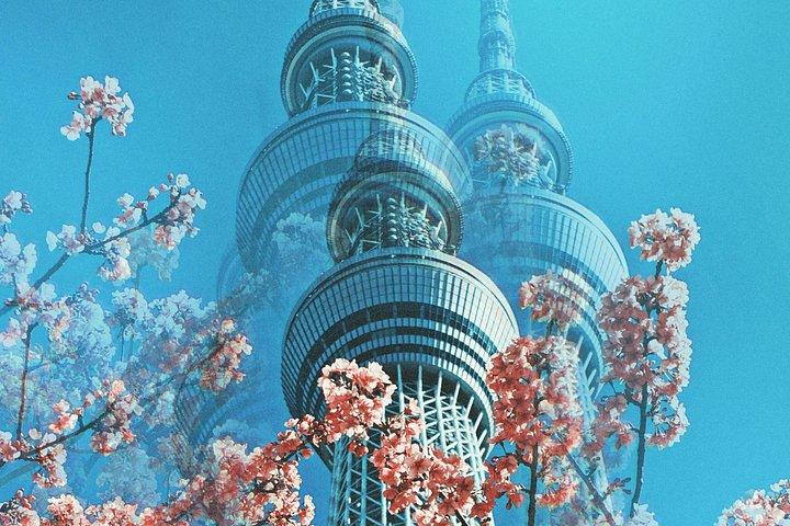 Vip｜東京シグネチャーシティツアー｜プライベートラグジュアリー体験