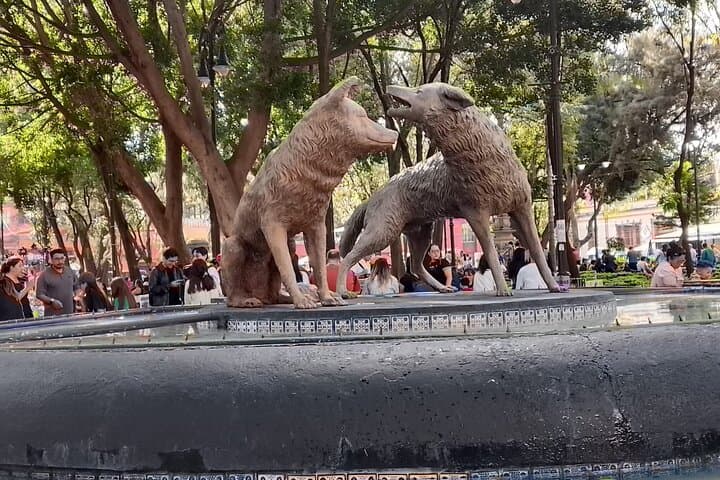 Tour to Xochimilco and Coyoacan and Frida Khalo