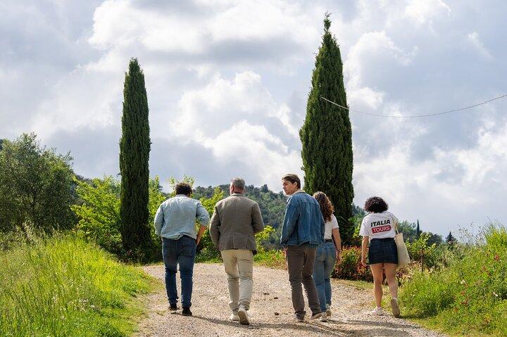 Degustación de vinos de San Gimignano y Toscana desde Florencia