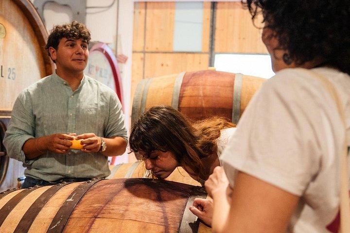 San Gimignano & Tuscan Wine Tasting from Florence