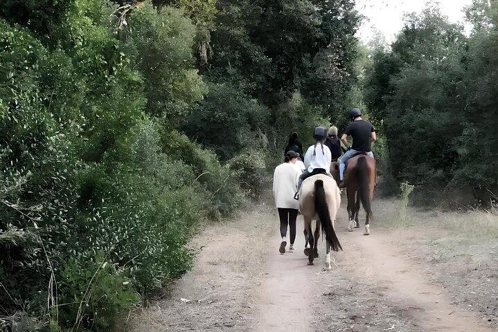 ローマ近郊のカステル・フザーノで乗馬体験