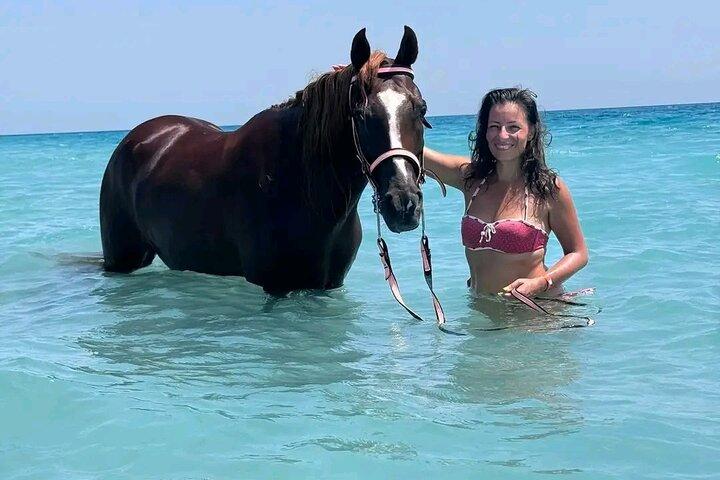 Hest Hurghada