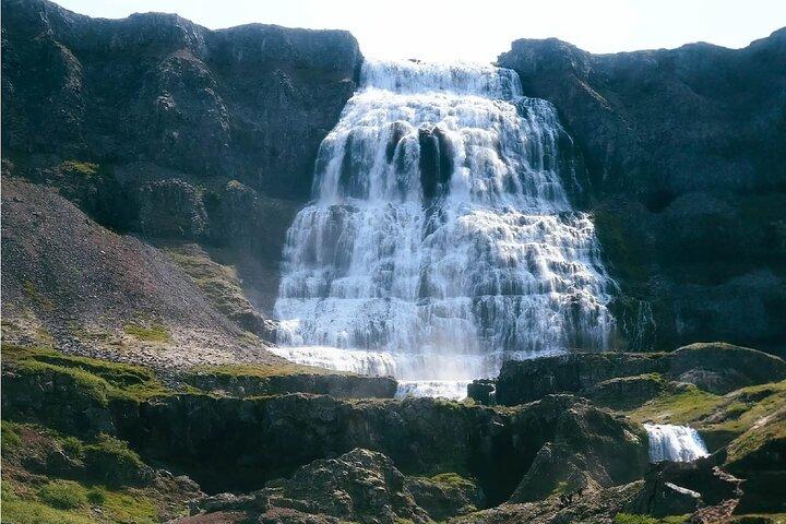 4-stündige Isafjordur- und Dynjandi-Tour mit Fotostopps