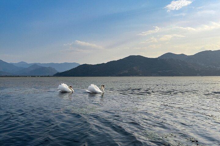 Skadar sø: Kajak og SUP udlejning