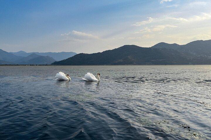 Skadar sø: 4-timers guidede ture på kajak