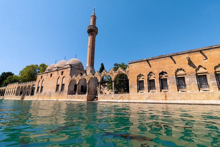 世界初の寺院：イスタンブール発プライベートゴベクライトペツアー