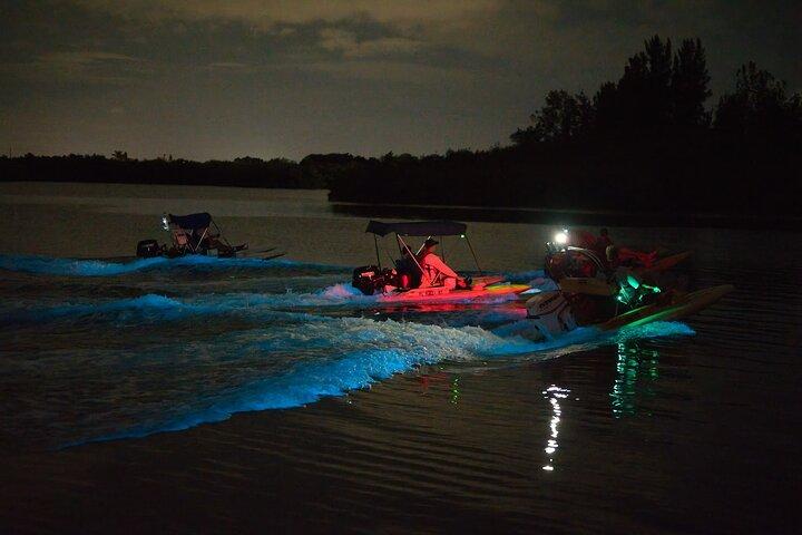 Bioluminescence Night Craigcat Tours