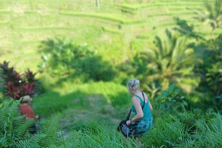 All-Inclusive Ubud Discovery Tagestour