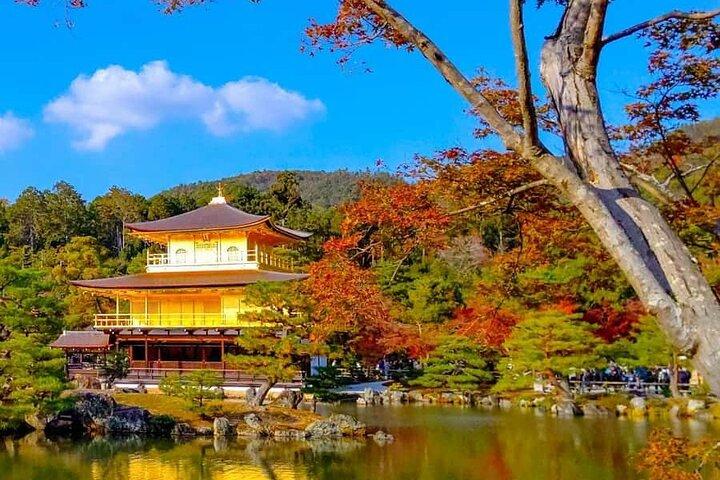 Kyoto og Nara Privat tilpasset dagstur med luksusbil