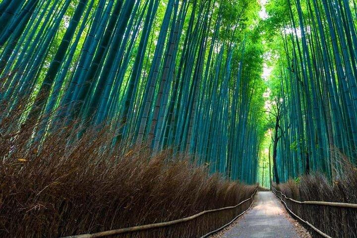 Kyoto og Nara Privat tilpasset dagstur med luksusbil