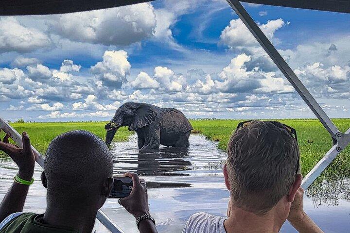 チョベの半日川アドベンチャー：巨人が水浴びに来る場所