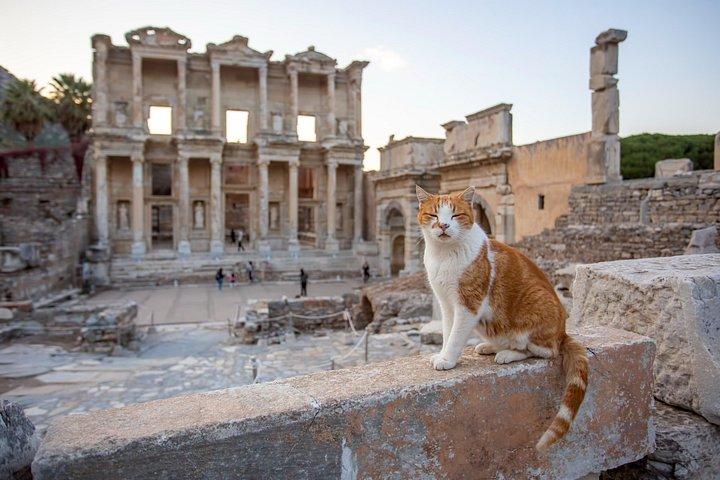 Ephesus & Virgin Mary Day Trip from Istanbul with Flights