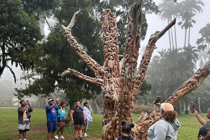 Experience Botiwaterfall, Aburi Botanical Gardens & a Cocoa Farm.