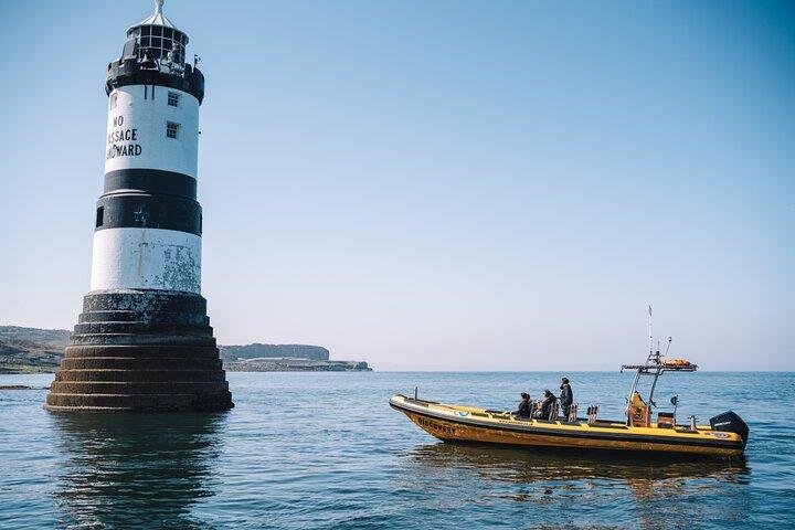 Anglesey Wildlife Bådture rundt om kystområder