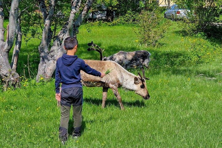 Tromsø : フィヨルドを抜けてソンマロイ島へ日帰り旅行