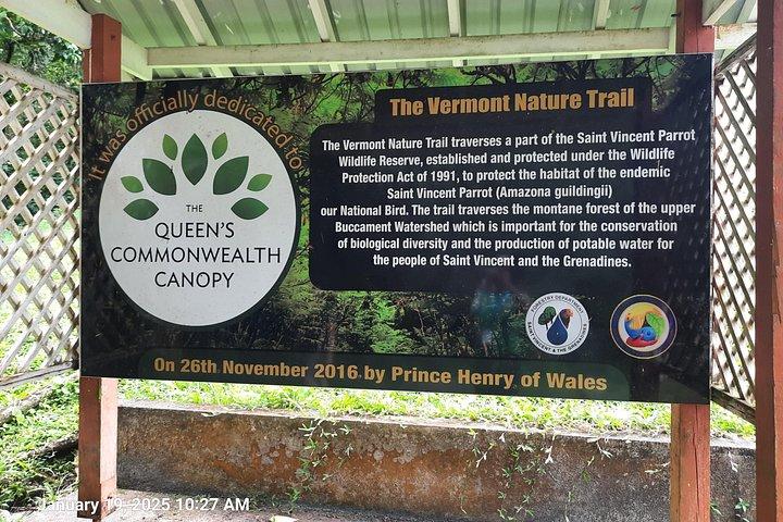 Dark View Falls - St. Vincent