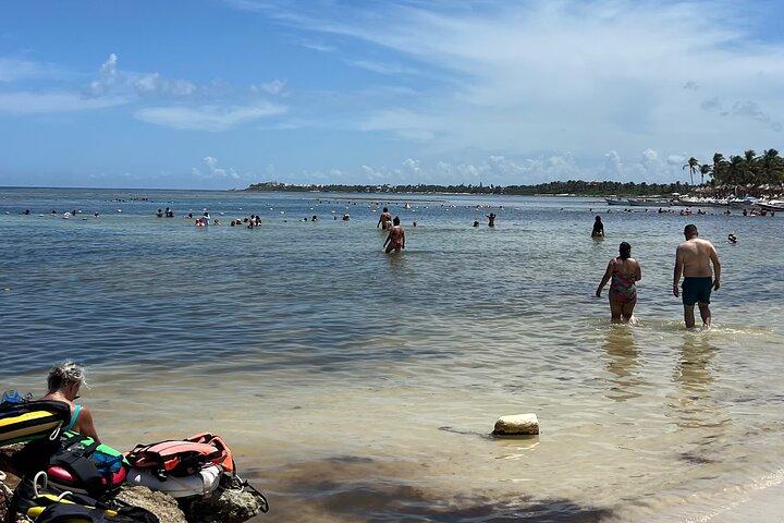 Tour privato : Turtle Swim & Cenote