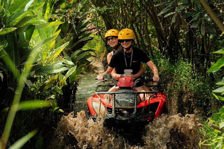 Ubud fuld dag ATV eventyr med ris terrasse og tempel ritual
