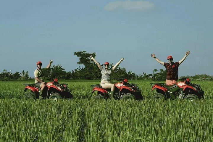Ubud fuld dag ATV eventyr med ris terrasse og tempel ritual