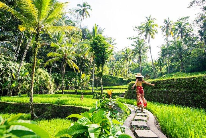 Ubud Tubing d'une journée complète et expérience de cascade avec des rizières en terrasses