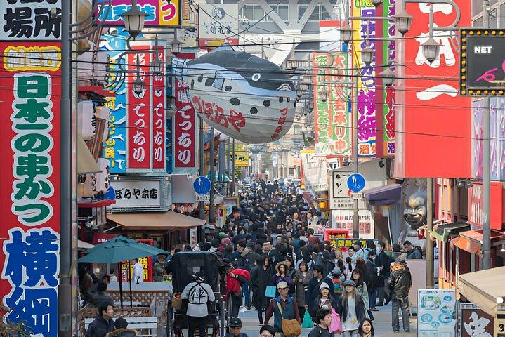Kyoto og Nara Privat tilpasset dagstur med luksusbil