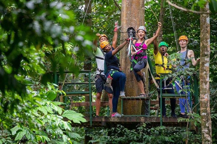 Adrena-Line Zipline, St. Lucia