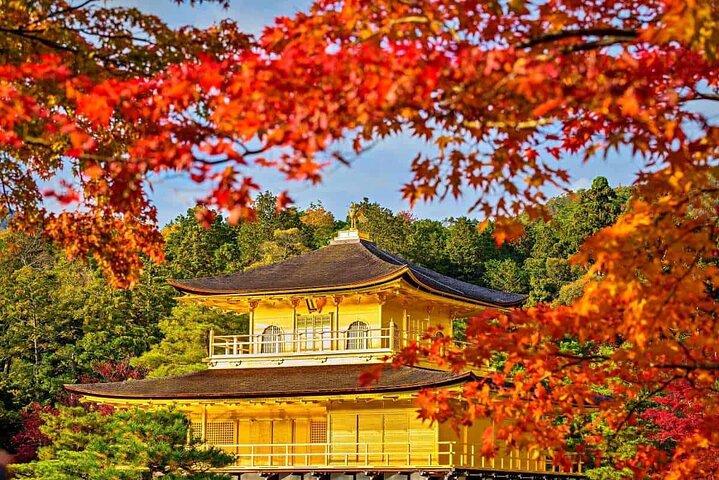 Experimenta las maravillas de Japón en un día
