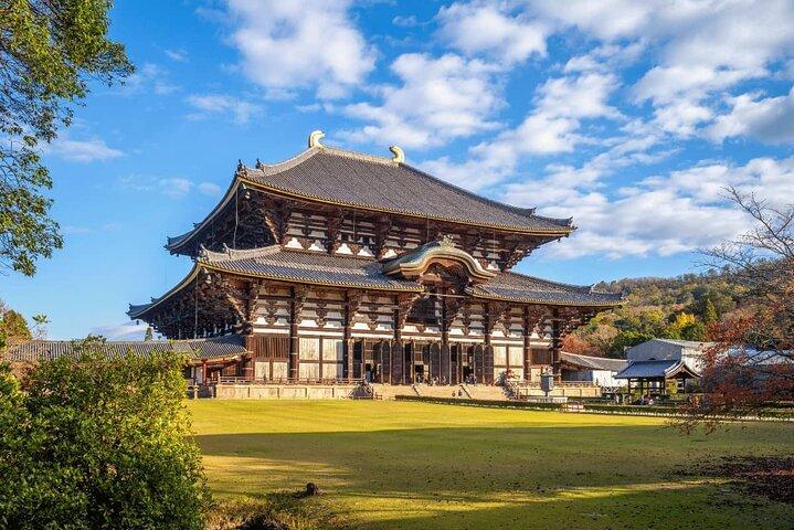 Excursión de un día a Kiyomizu dera Fushimi Inari y Nara Park