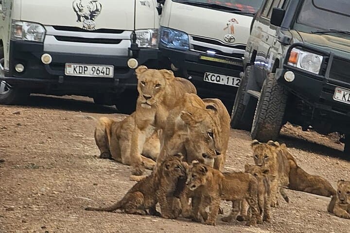 Half-Day Nairobi National Park Safari from Nairobi with Free Pickup