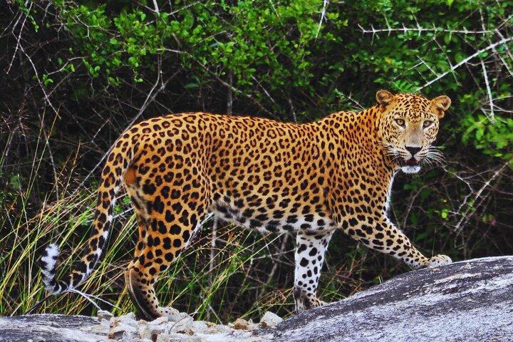 Private Tour for 3 Days (Car or Van)