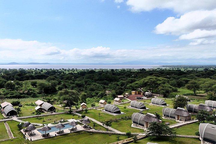 Arusha: 9 Day Multi-Park Flexible Migration Roundtrip safari