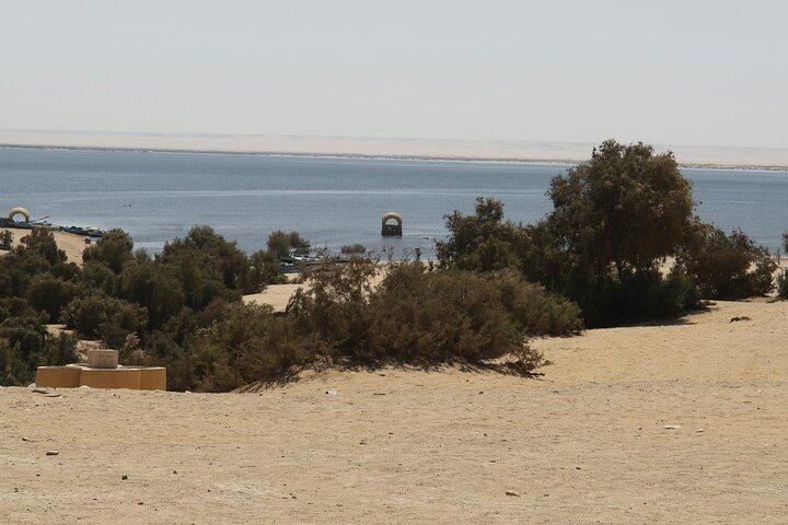 Dagtour naar El Fayoum Oasis vanuit Caïro Wadi El Rayan en Wadi Hitan