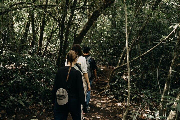 Munduk Twin Lake Jungle Hike, Ulun Danu Temple, & Waterfall