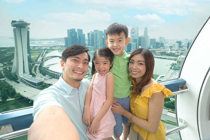 Bilhete de entrada de Singapore Flyer - Entrada flexível