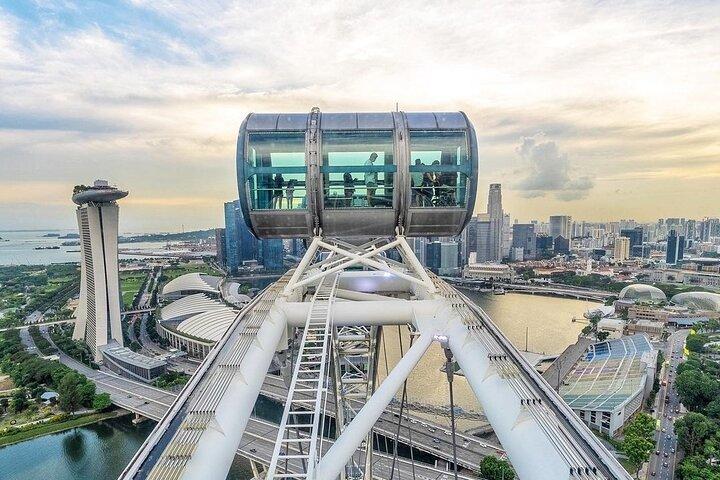 Bilhete de entrada de Singapore Flyer - Entrada flexível