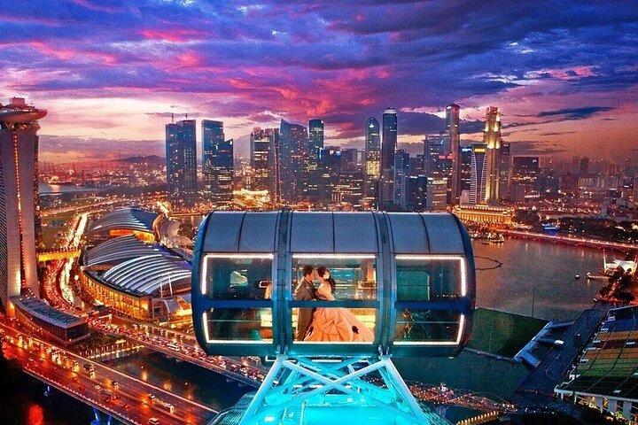 Bilhete de entrada de Singapore Flyer - Entrada flexível